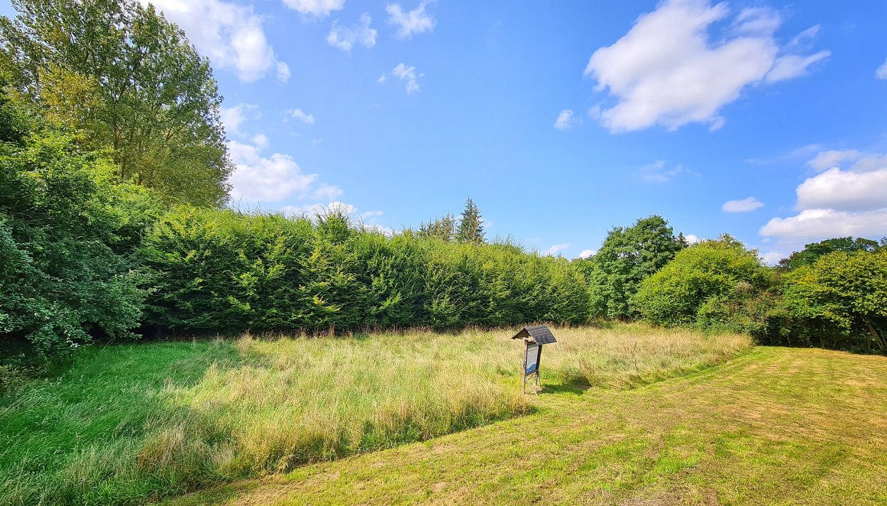 Las klimatyczny Schuenhagen, © Landesforst MV Las klimatyczny Schuenhagen, © Landesforst MV