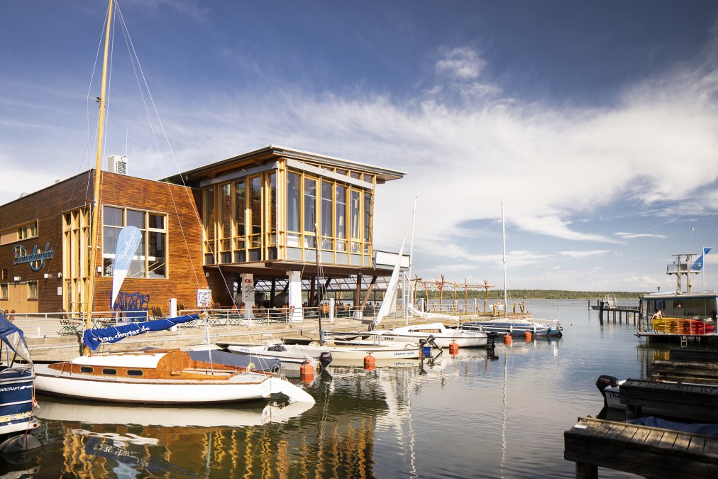 Sandpiper - Mole Müritz Clinic, © Müritz Klinik