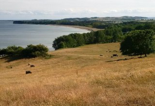 the extensive, herb-rich southern slopes // © R.F. Leipzig the extensive, herb-rich southern slopes // © R.F. Leipzig