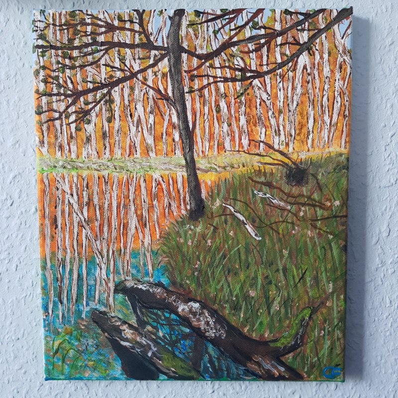 &copy; Karl Wendorff