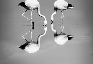 &copy; Anke Berger