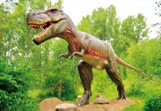 © Marcel Kunkel © Marcel Kunkel