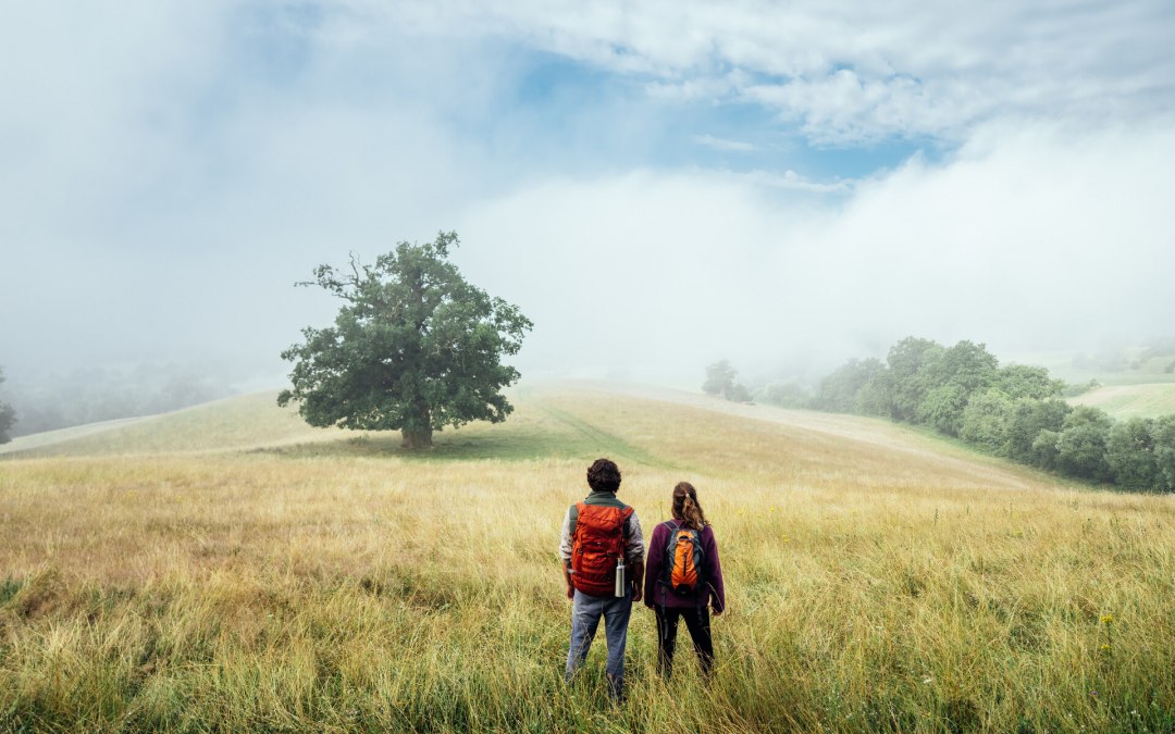 Wandelen op het natuurparkpad door het landschap van het Mecklenburgse merengebied bij R&ouml;telberg // &copy; TMV/G&auml;nsicke
