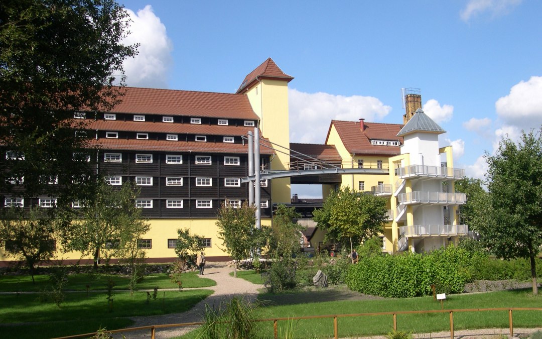 Tamy leśne w pobliżu Jatznik, © Tourismusverband Vorpommern e.V.