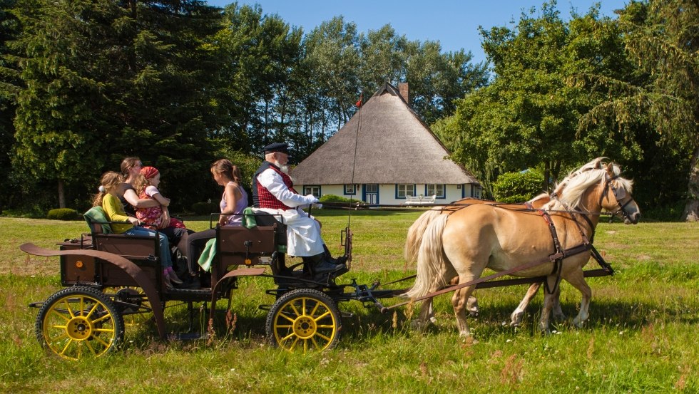 Z Haflingerami do najpiękniejszych miejsc na Ummanz, &copy; TMV/Raff