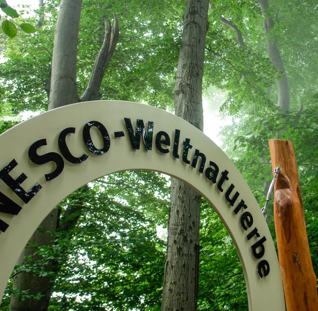 &copy; Nationalpark-Zentrum K&Ouml;NIGSSTUHL / Peter Lehmann