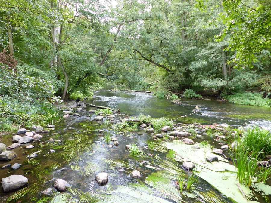 In de Warnow vallei bij Gro&szlig; G&ouml;rnow, &copy; Naturpark Sternberger Seenland