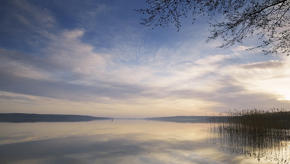 Natura oddycha ciszą nad jeziorem Tollensesee // &copy; MV-T/Grundner
