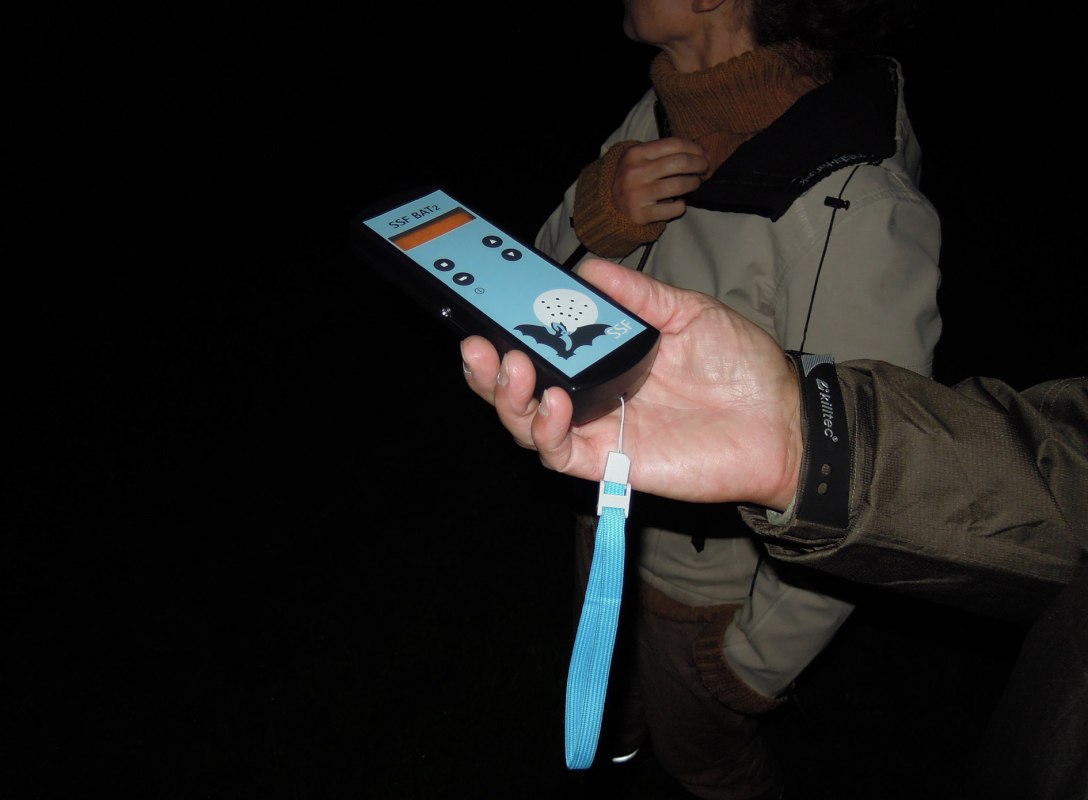 Bat detector, &copy; D. Foitlaenger