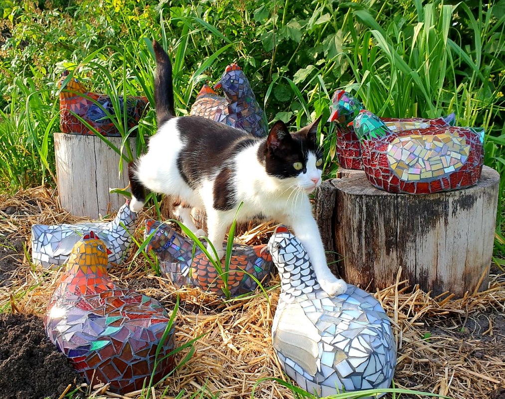 &copy; Dennis Schreib