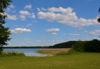 © Martin Möller © Martin Möller