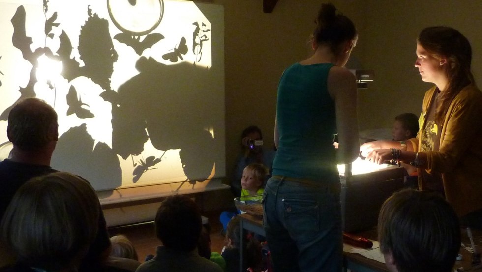 Kratzeburg Bat Night // &copy; 11-kratzeburger-fledermausnacht