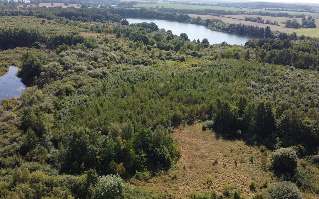 Klimaatbos Biosfeerreservaat Schaalsee, © Landesforst MV