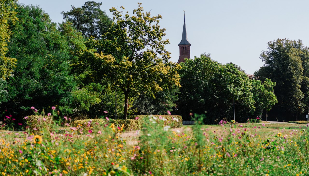 klosterwiesen-kloster-ribnitz-2024-BD-2, © Bernsteinstadt Ribnitz-Damgarten