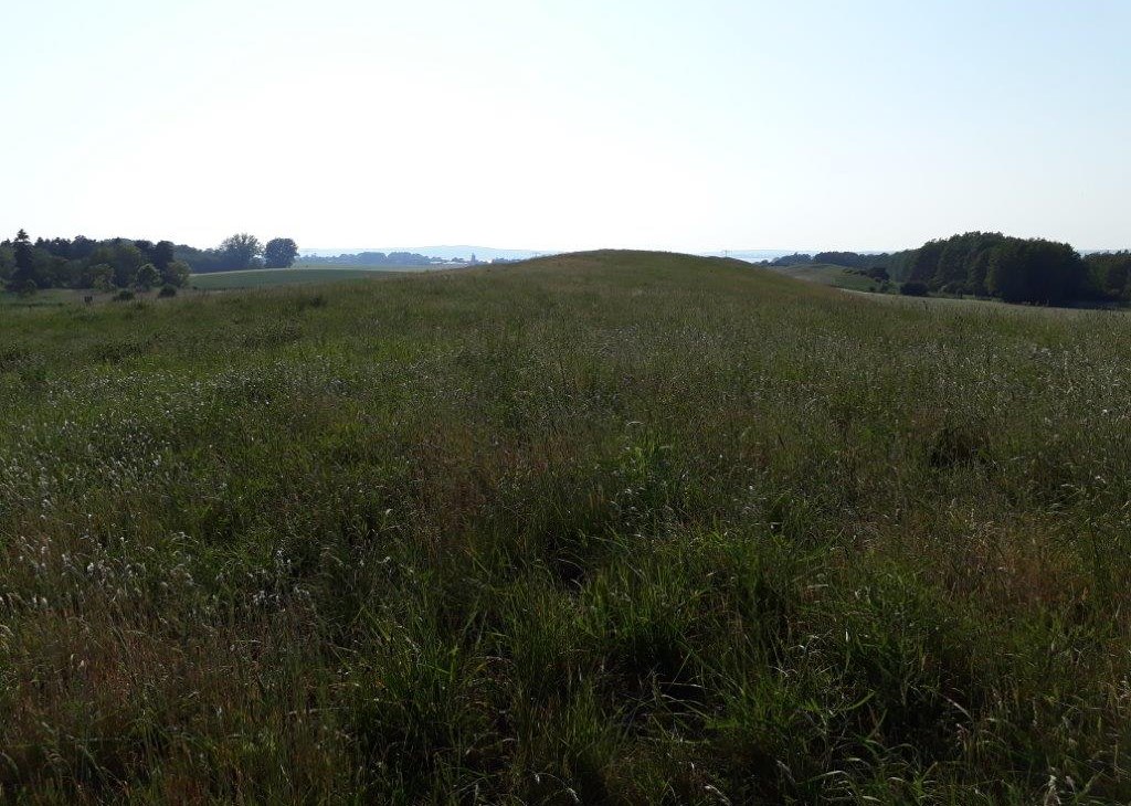 Sommersdorfer Os, view towards Lake Kummerow, © A. Groh