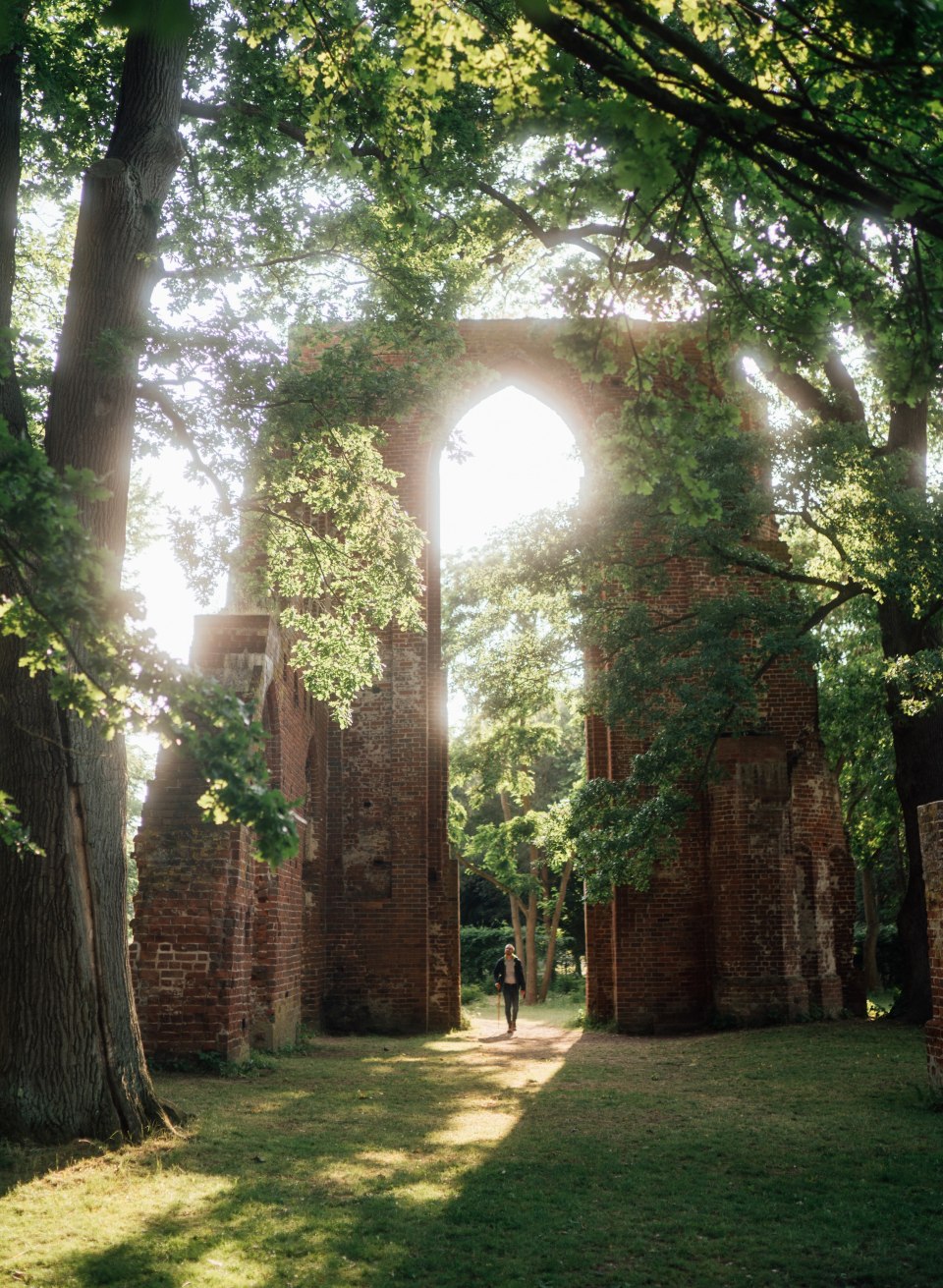 De ruïnes van Eldena Abbey staan tussen bomen en de zon schijnt door de bomen vanaf de zijkant