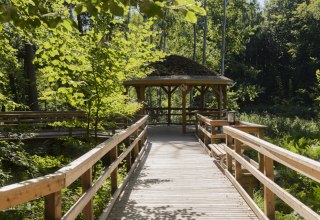 © André Pristaff, Tourismus- und Kur GmbH Graal-Müritz © André Pristaff, Tourismus- und Kur GmbH Graal-Müritz