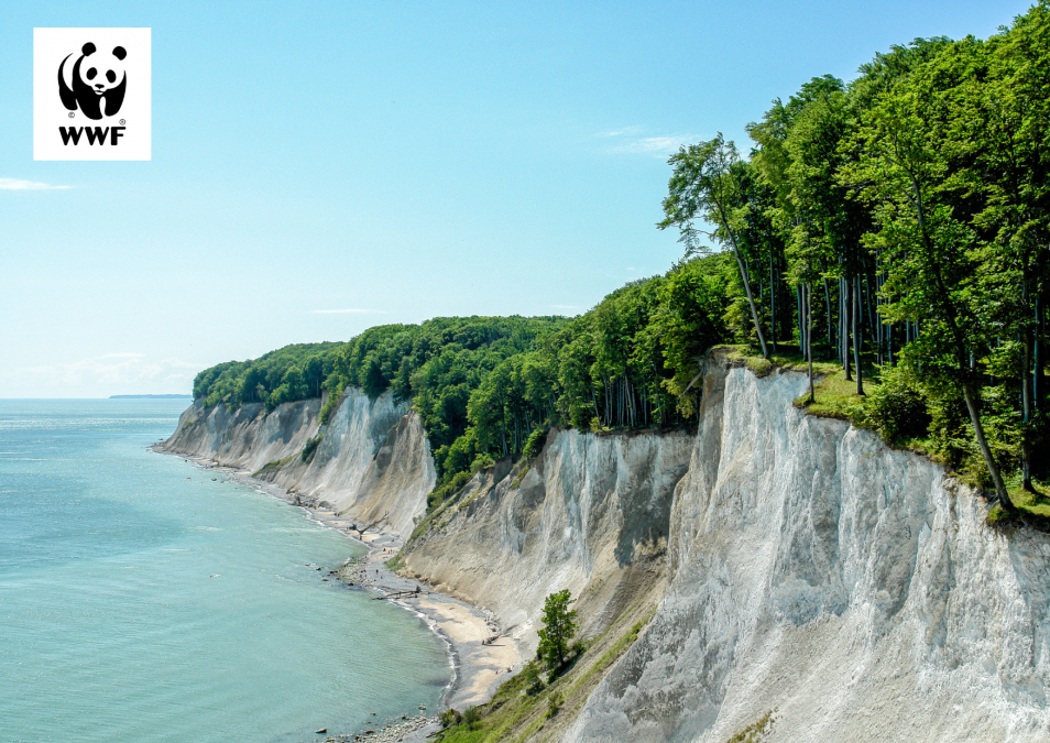 WWF Tour, © Nationalpark-Zentrum Königsstuhl