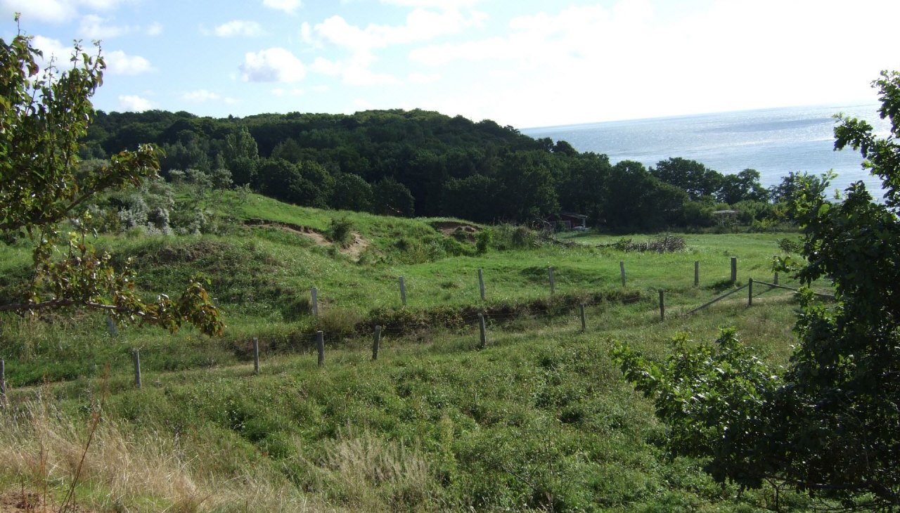 Pastwiska dla owiec, © Nils Thorsten Volk Pastwiska dla owiec, © Nils Thorsten Volk