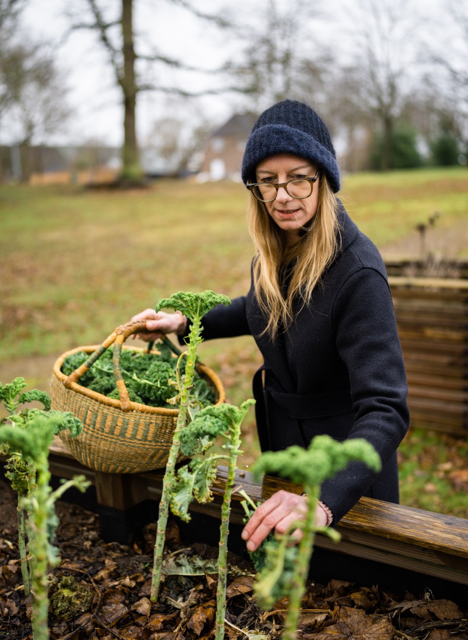 Picking herbs in your own garden, &copy; TMV/Gross