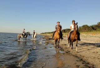 Cross-country and beach rides through the Bodden landscape of Western Pomerania, © Pferdesport Brauns