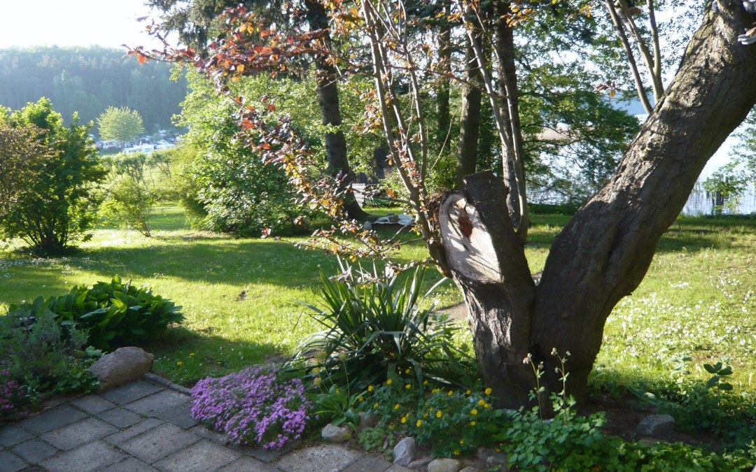 The view over the property from the barbecue area, © P. Kohlmann