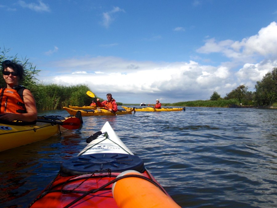 short rest wipe reed islands, © @Henrik Schmidtbauer, darßtour