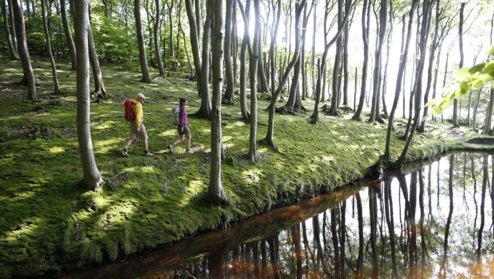 Wandeling door het kustbos bij Lietzow, © TMV/outdoor-visions.com