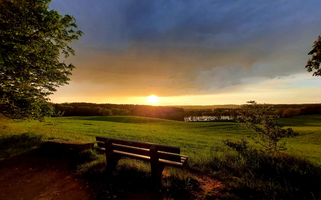 20210515_201917, © Britta Kietzmann 20210515_201917, © Britta Kietzmann