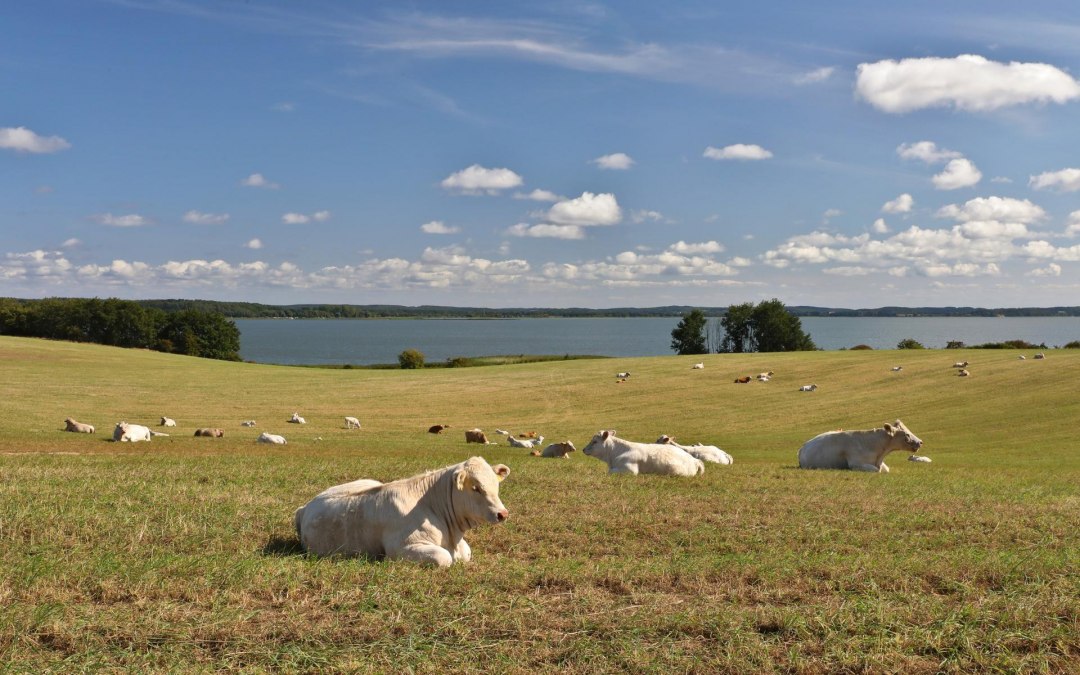 Loddiner Höft, © TMV/Gohlke