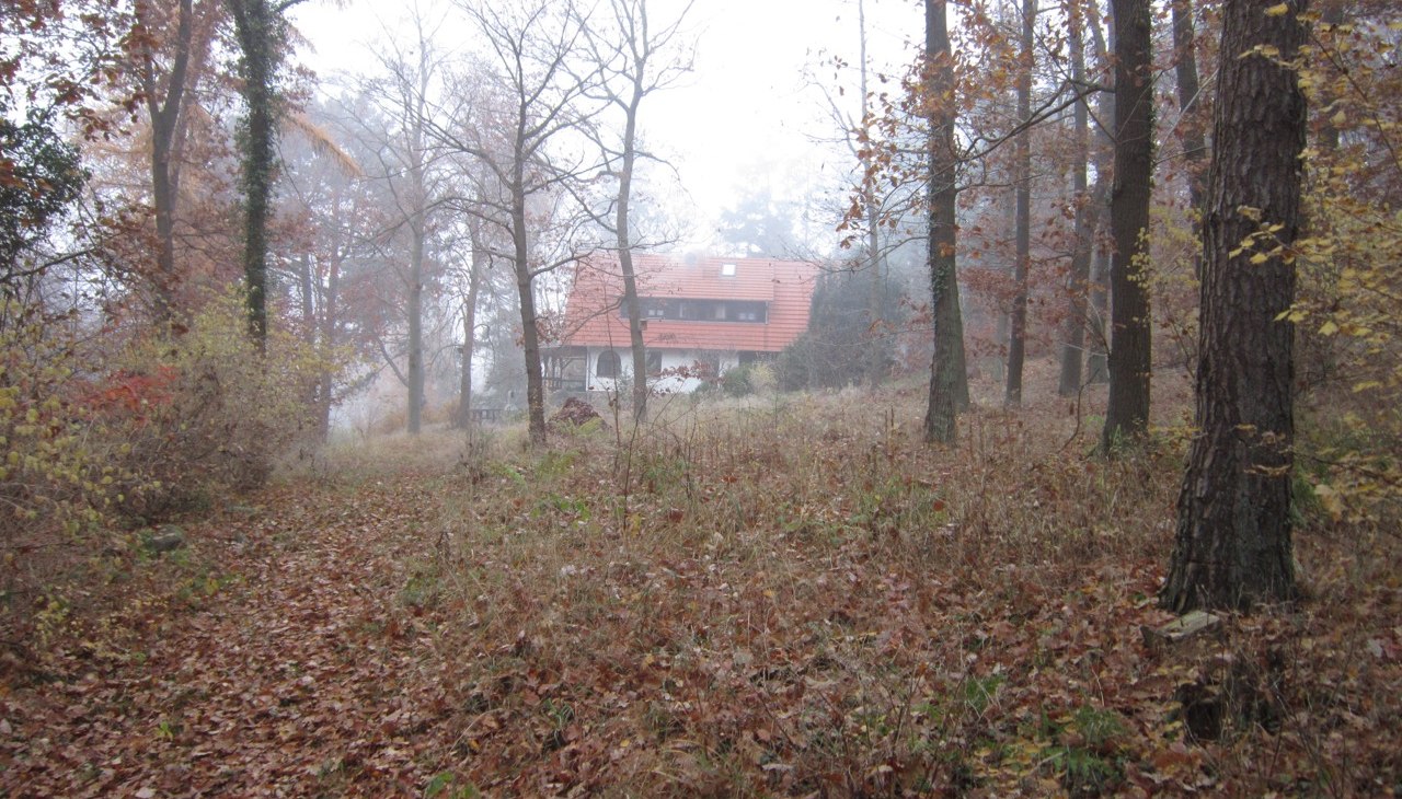 Działka leśna o powierzchni 9000 m², widok na dom jesienią, © Bernhard Barth