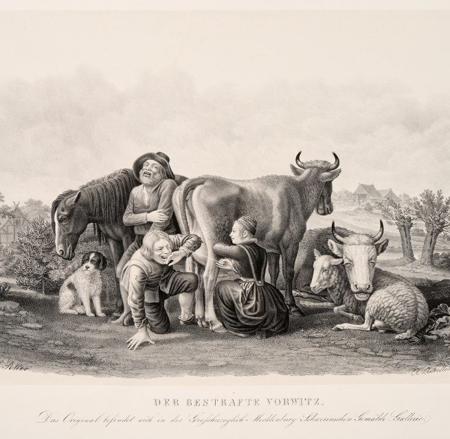 © Stiftung Mecklenburg, Inv.-Nr. 2025/19 © Stiftung Mecklenburg, Inv.-Nr. 2025/19