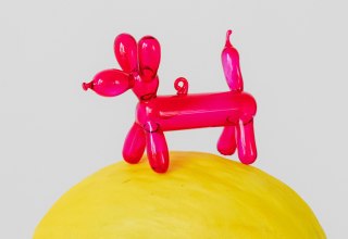 © Karola G / Pexels © Karola G / Pexels