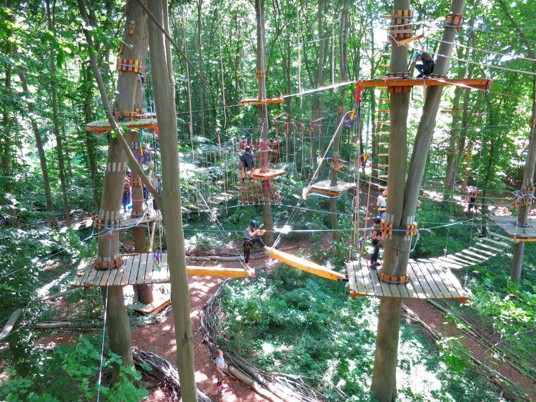 Climbing forest overview // © Michael Schicha Climbing forest overview // © Michael Schicha