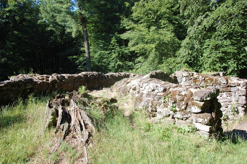 Vanaf de ruïnes kun je tot ver in het park kijken., © Gabriele Skorupski