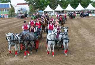 2-Spänner-Quadrille // © Gestüt Ganschow 2-Spänner-Quadrille // © Gestüt Ganschow
