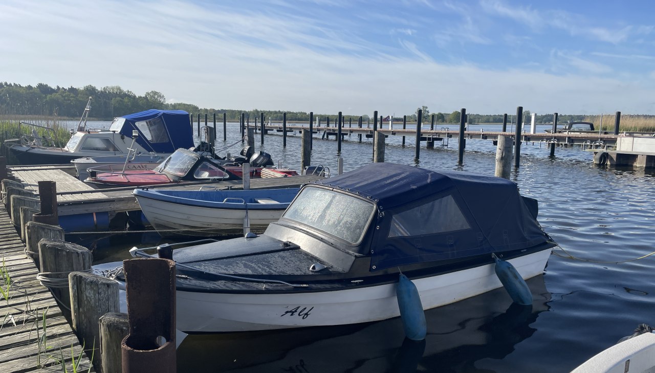 IMG_8322, © TZ Südliche Boddenküste