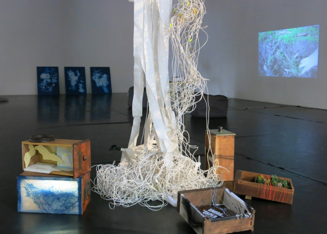 Installation view: “Growing, Proliferating, Burrowing, Wondering” 2025, mixed media // © Friederike Preuschen Installation view: “Growing, Proliferating, Burrowing, Wondering” 2025, mixed media // © Friederike Preuschen