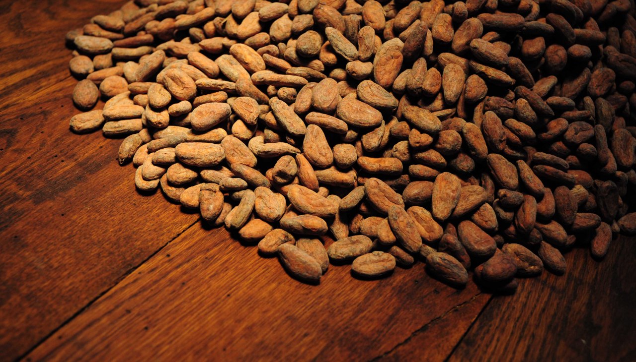 Ziarna kakaowca, &copy; Kilian&Close