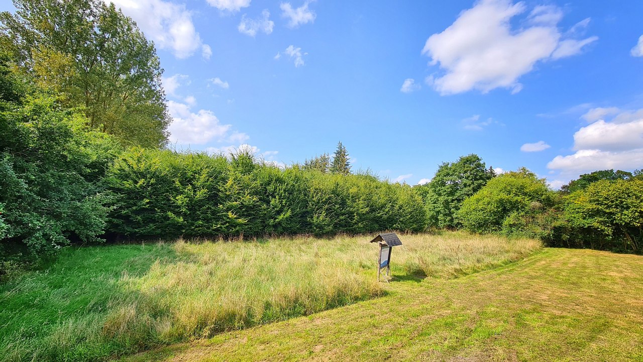 Las klimatyczny Schuenhagen, &copy; Landesforst MV