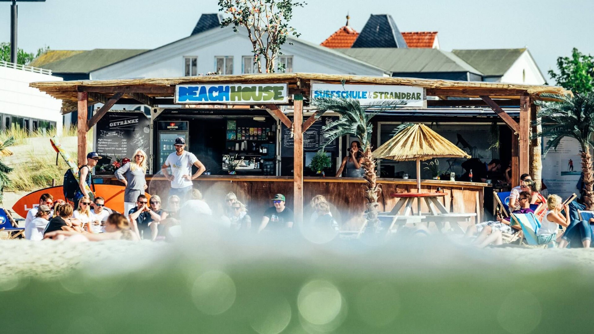 Summer scene with guests in front of the Supremesurf Beachhouse in Warnemünde, surrounded by surfboards, palm trees and deckchairs.