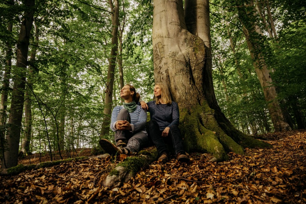 © Binzer Bucht Tourismus