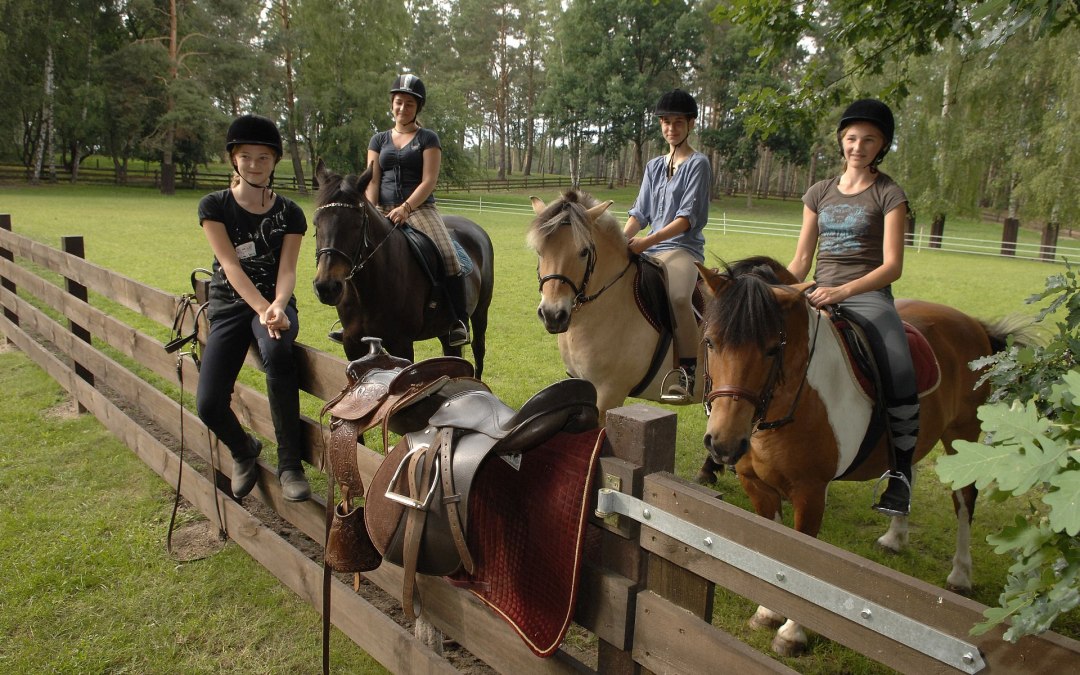 Riding ponies and horses, © Timo Weisbrich