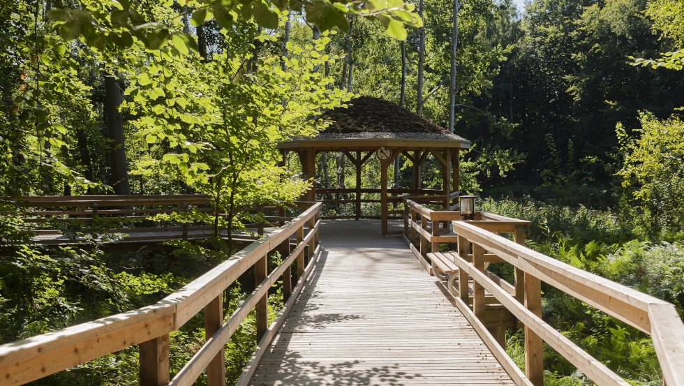 Kurwald Graal-Müritz 1 © André Pristaff, Tourismus- und Kur GmbH Graal-Müritz, © André Pristaff, Tourismus- und Kur GmbH Graal-Müritz