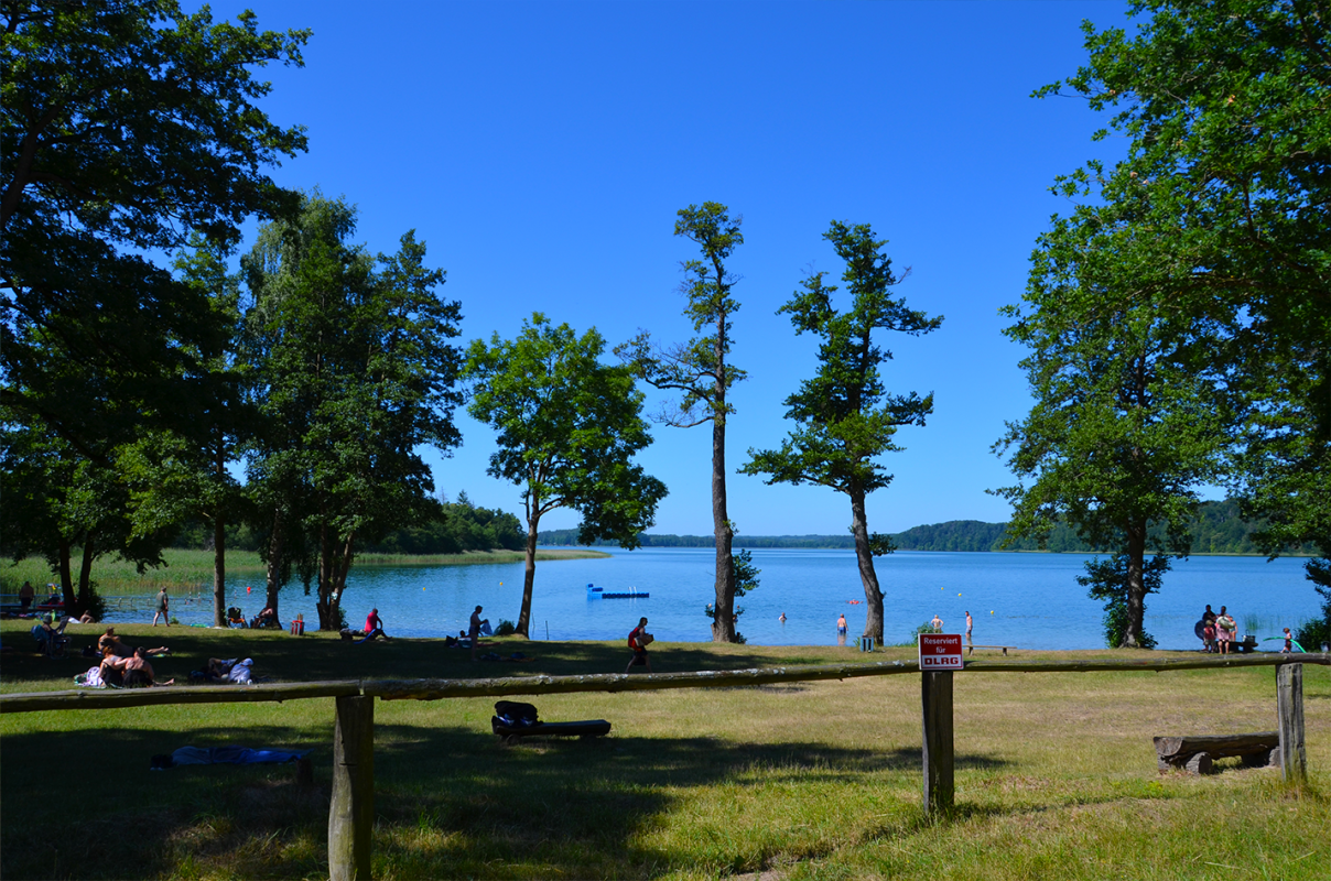 &copy; Martin M&ouml;ller