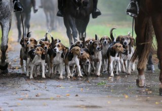 &copy; Sven Strau&szlig;