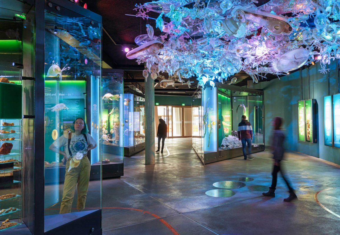 Wystawa Morze Bałtyckie z chmurą planktonu w OZEANEUM // © Anke Neumeister/Deutsches Meeresmuseum Wystawa Morze Bałtyckie z chmurą planktonu w OZEANEUM // © Anke Neumeister/Deutsches Meeresmuseum