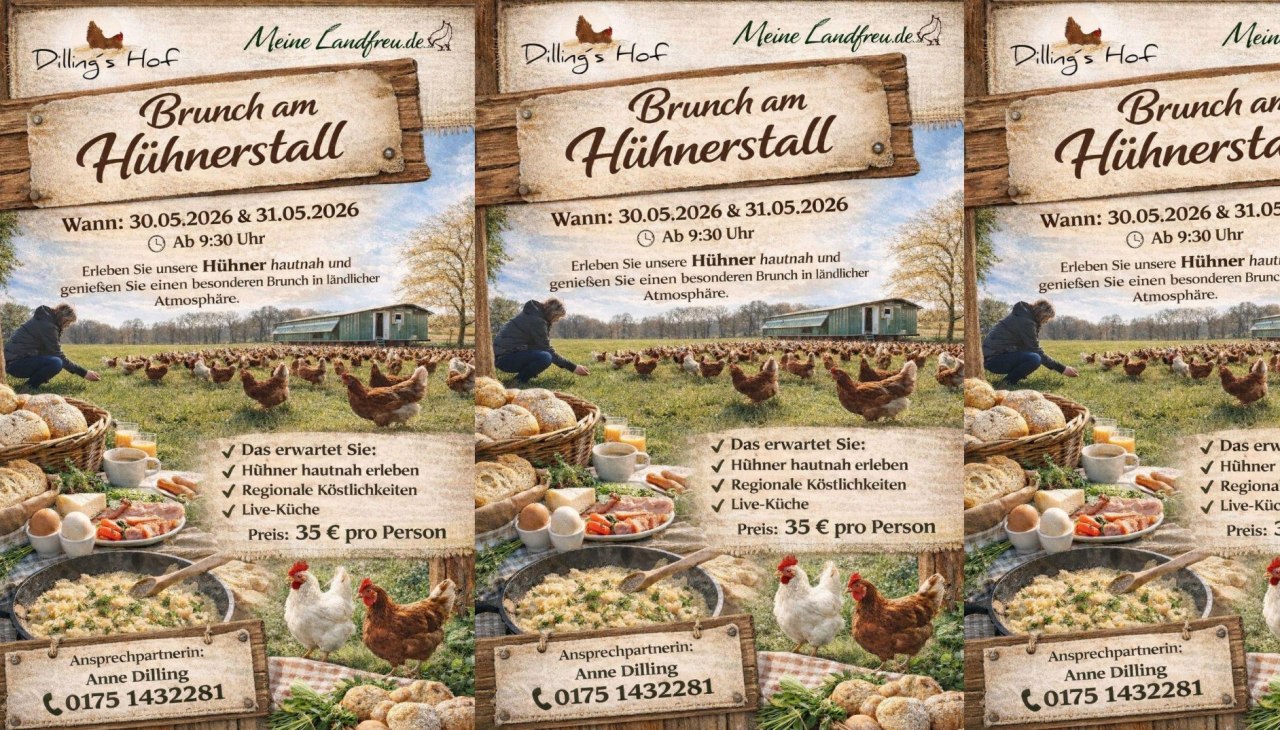 Bruch-am-H&uuml;hnerstall, &copy; Dillings & Meine Landfreu.de