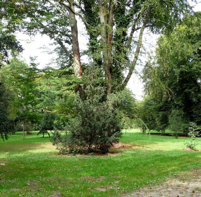 Park area, © Sabrina Wittkopf-Schade Park area, © Sabrina Wittkopf-Schade