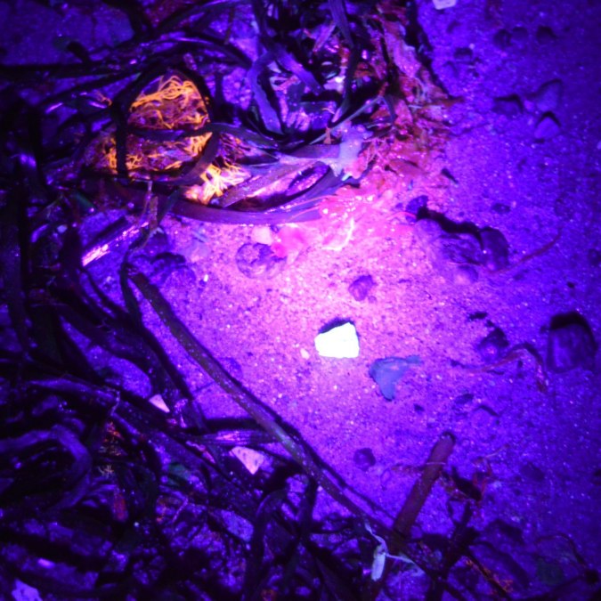 STRAND-Leuchtet-Geo, © GeoPark Nordisches Steinreich STRAND-Leuchtet-Geo, © GeoPark Nordisches Steinreich